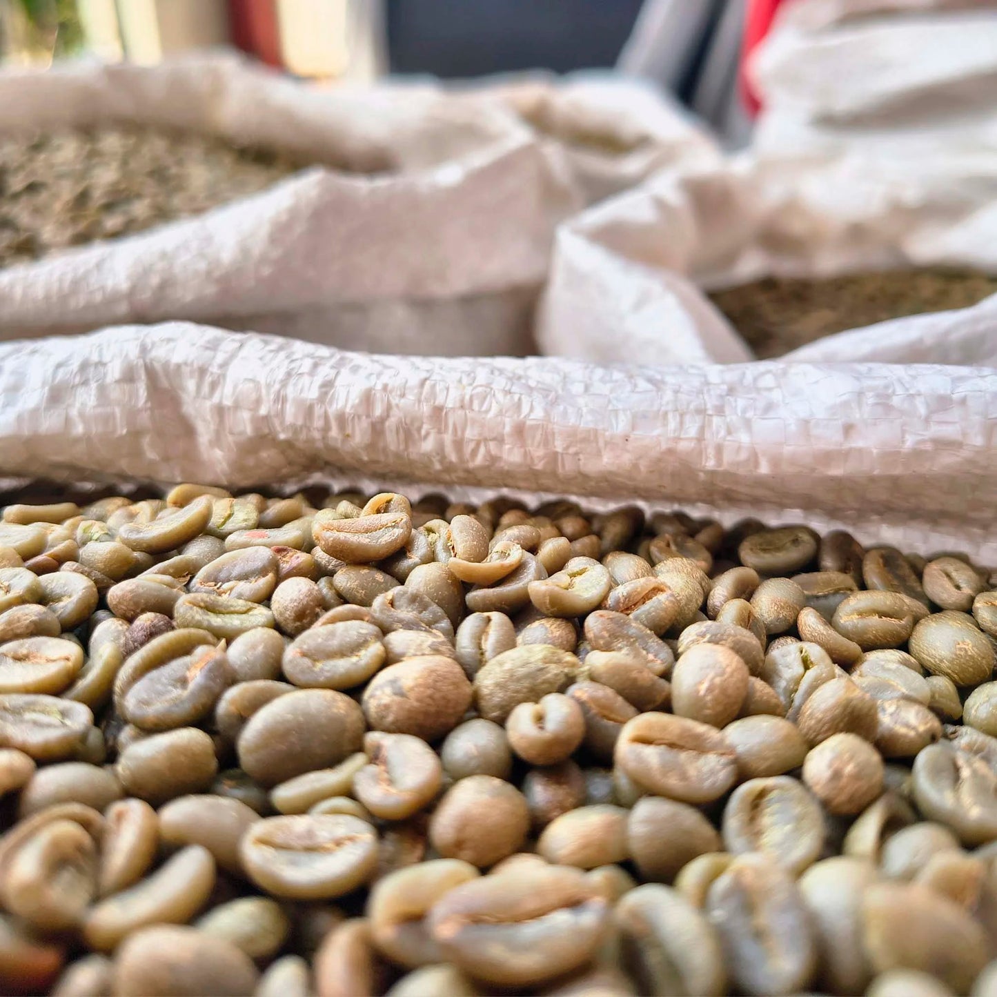 Colombia Cauca El Paraíso – Specialty Green Coffee (SCA 86.5 PTS) - SAXUM TRADING GROUP SAS