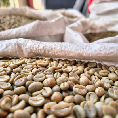 Colombia Cauca El Paraíso – Specialty Green Coffee (SCA 86.5 PTS) - SAXUM TRADING GROUP SAS