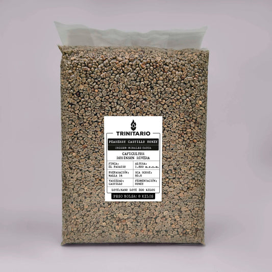 Colombia Cauca El Paraíso – Specialty Green Coffee (SCA 86.5 PTS) - SAXUM TRADING GROUP SAS